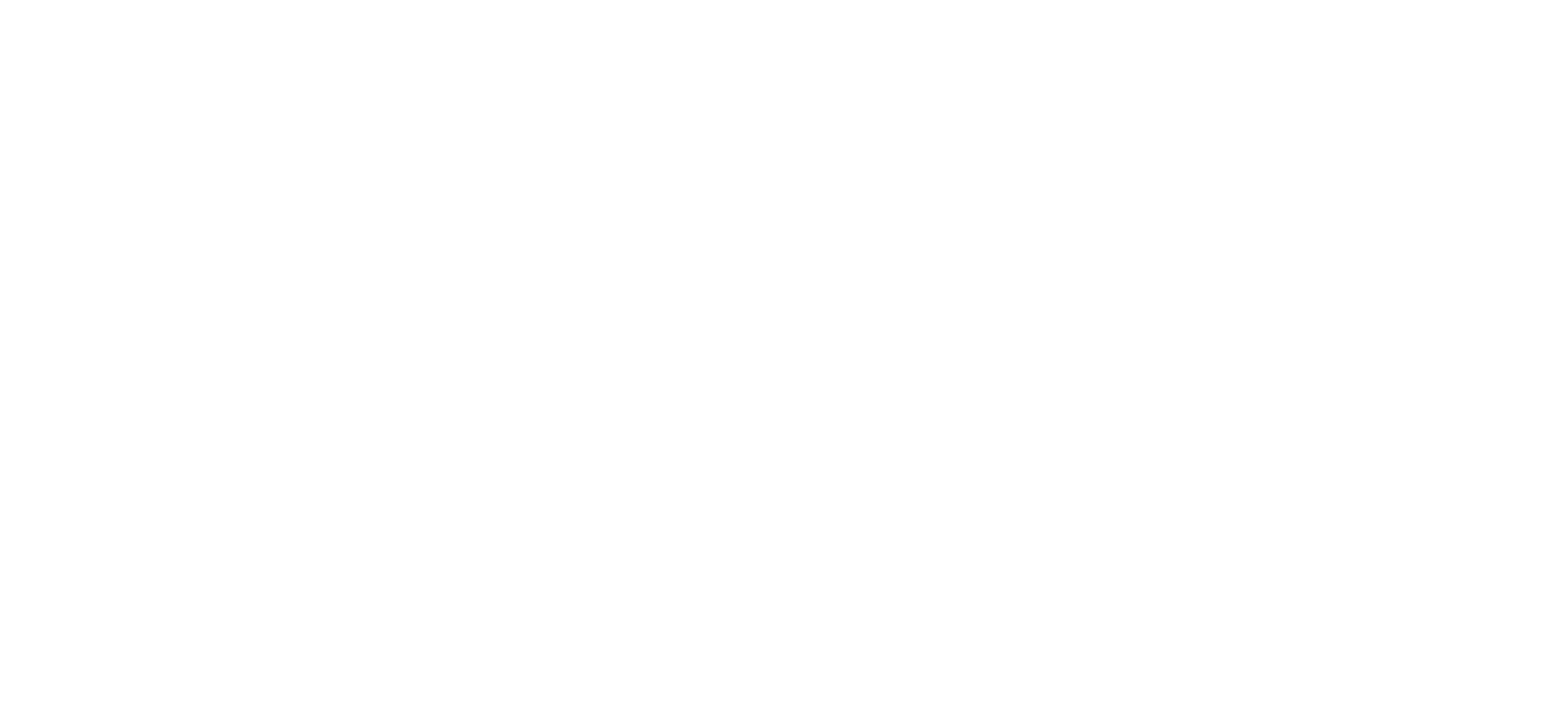 White horizontal logo